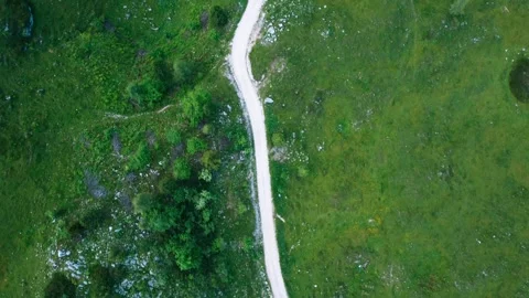 Forest road, Top Down Aerial View in Alps, Slovenia Video stock 263918860