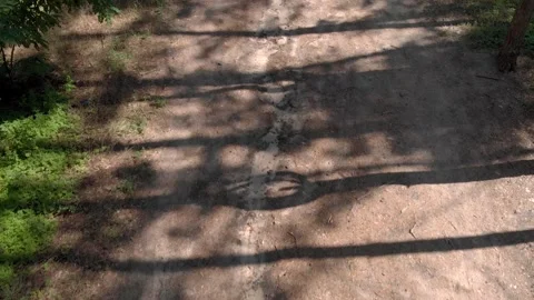 Forest road top view 4K Stock Footage 202135330