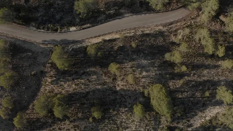 Forest Road Topdown Drone Stock Footage 103378453