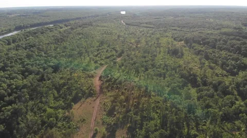 Forest road trail off road camper van camping isolated sunset aerial drone Stock Footage 157808097