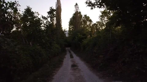 Forest Road with Trees – 4K Evening Aerial Drone Footage Stock Footage 319756373