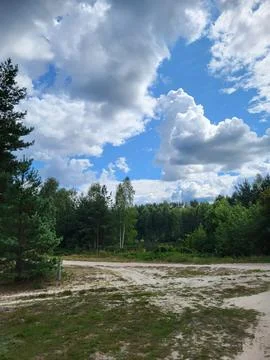 Forest Road Under Cloudy Sky Stock Photos