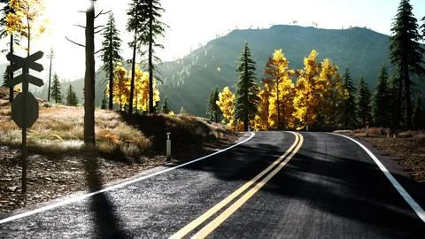 Forest road under sunset sunbeams Illustrazione stock