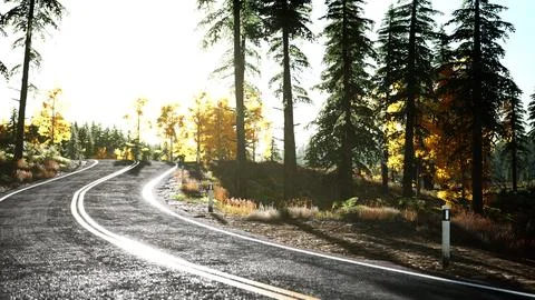 Forest road under sunset sunbeams Stock Illustration