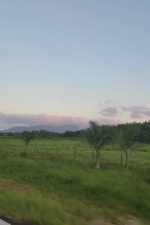 Forest Road View from Car | Scenic Countryside Drive Stock Footage 315005331