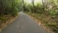 forest road w birdge jagged rocks Vidéos HD