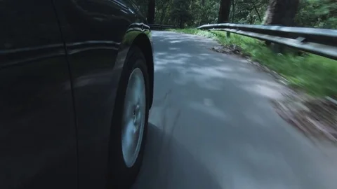 Forest, Road, Winding, Car, Vidéo 76727134