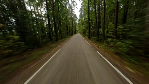Forest road winding through dense green foliage, capturing intense driving Video stock 306398475