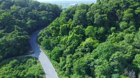 Forest Road Winding Through Green Nature Transportation Vídeo Stock 332260946