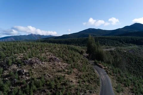 Forest Road Winding Through Rolling Hills and Clear Skies Stock Photos