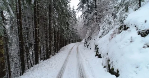 Forest road in winter with snow Video stock 103359796