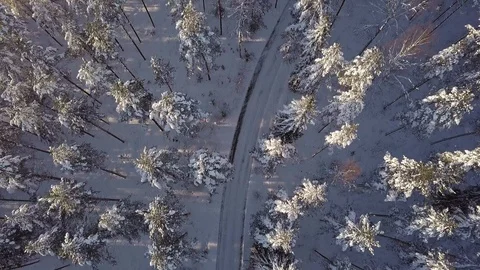 Forest road wintertime aerial view Stock Footage 104445308