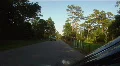 Forest Roads Of Starkey Wilderness Park HD Footage