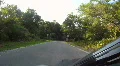 Forest Roads Of Starkey Wilderness Park HD Footage