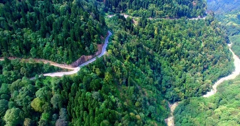 Forest road,valley,stream 库存影片 94611841