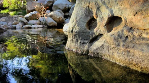 Forest Rock HD 스톡 동영상 22825639