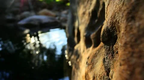 Forest Rock Rack HD 스톡 동영상 22103942