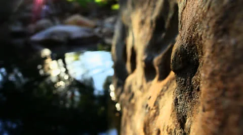 Forest Rock Shallow Focus HD 스톡 동영상 22825888