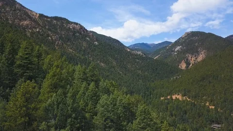 Forest in Rockies 01 Stock Footage 109234520