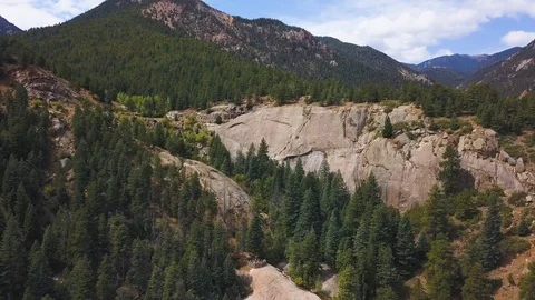 Forest in Rockies 02 Stock Footage 109234808