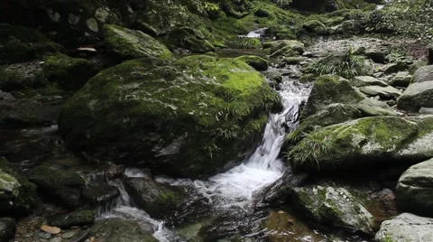 The forest of rocks and streams Stock Footage 41635722