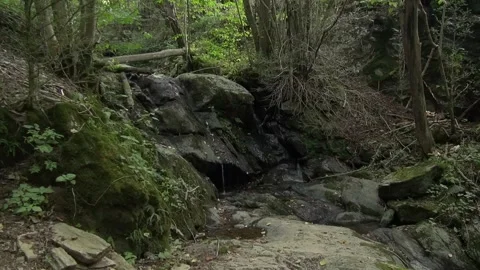Forest rocks stream flowing water dark fresh moss trees nature mountain Stock Footage 332649843