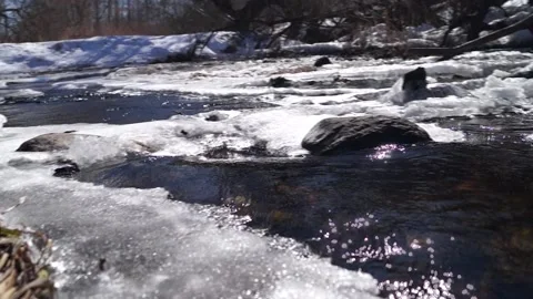 Forest rocky river. A thawed stormy forest river. Ice on the forest river. Stock Footage 171999353