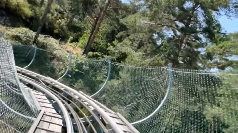 Forest Roller Coaster  - FPV 動画素材 163234019