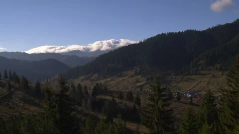 Forest Romania 스톡 동영상 183844924