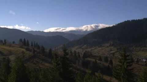 Forest Romania 스톡 동영상 183844947