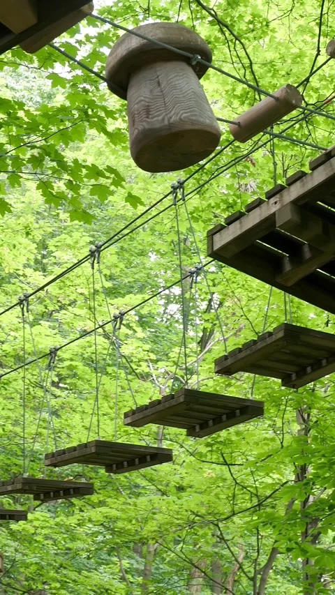 Rope Obstacle Course Stock Videos – Royalty-Free HD & 4K Videos | Page 3