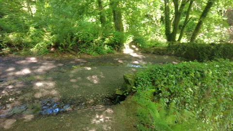 Forest ruin and bridge Video stock 246383533