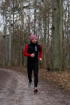 Forest running Stock Photos