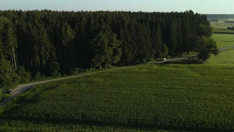 Forest in Rural Bavaria 库存影片 136909220