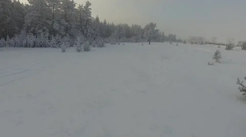 Forest in russia Stock Footage 61047377