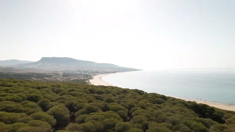 Forest &amp; Sand Dune Coast line of Tarifa, Southern Spain 動画素材 251682075