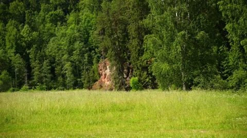 Forest Sandstone Cliff and Meadow Stock Footage 340878505
