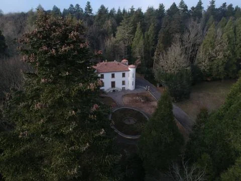 Forest of Sardinia 写真素材