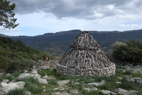 Forest of Sardinia 写真素材