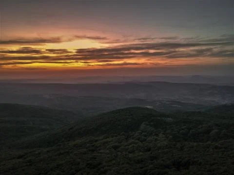 Forest of Sardinia 写真素材