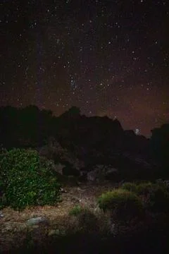 Forest of Sardinia Stock Photos