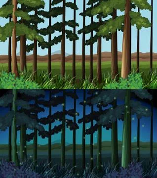 Forest scene at day time and night time Stock Illustration