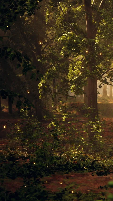 Forest scene in evening light with glowing fireflies near trees and shrubs Stock Footage 340632731