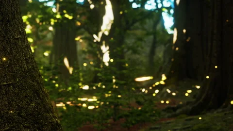 Forest scene with glowing lights in the trees during evening time Stock Footage 345057644