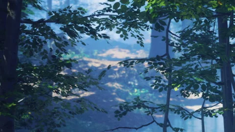 Forest scene with light filtering through trees during daytime Stock Footage 342052276