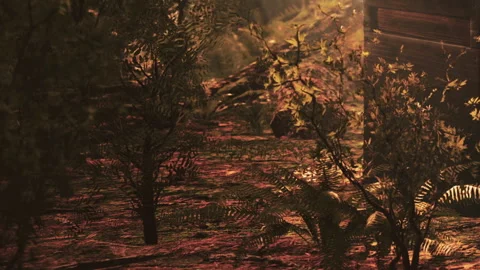 Forest scene with light shining through trees near a cabin at sunset Stock Footage 340611254