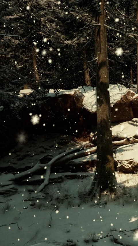 Forest scene with snow and falling snowflakes during winter time Stock Footage 341988770