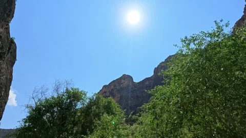 Forest scene with sunlit trees and rocky mountain backdrop Stock Footage 339644539