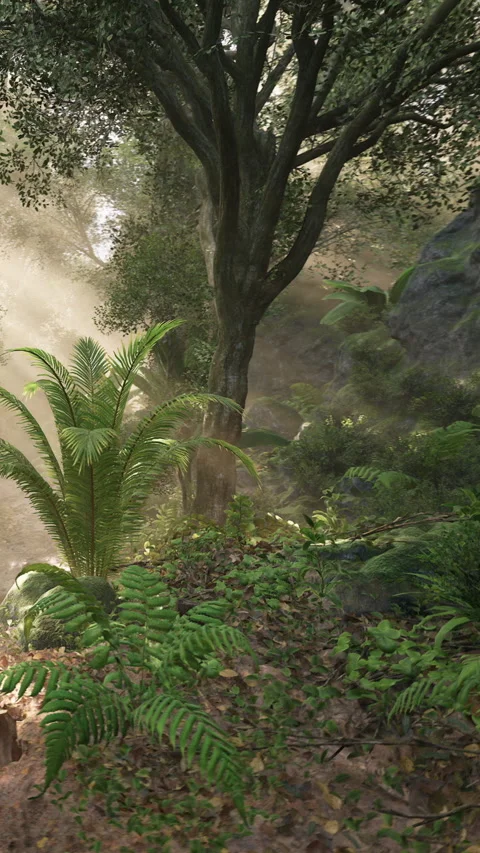 Forest scene with tall trees and green ferns under soft sunlight rays Stock Footage 339778854