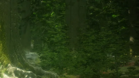 Forest scene with trees and dense greenery during daylight hours Stock Footage 342802308